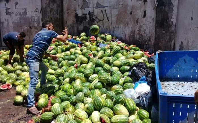 بطيخ فاسد في شمال القطاع