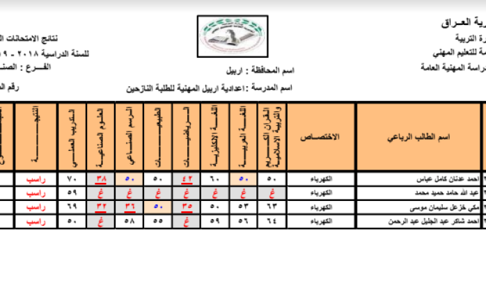 نتائج المهني